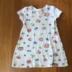 TBBC Polly dress